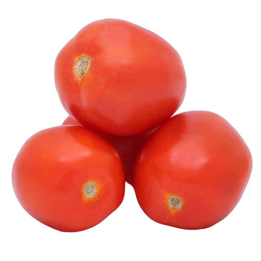 Tomato