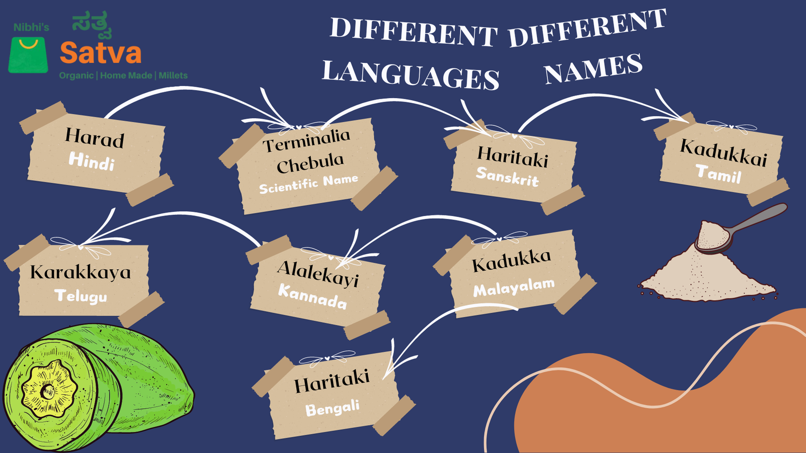 Haritaki Fruit Powder gallery image